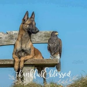 Meet your Posher, Cheri